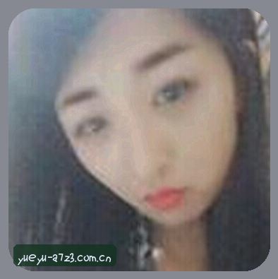 陈磊